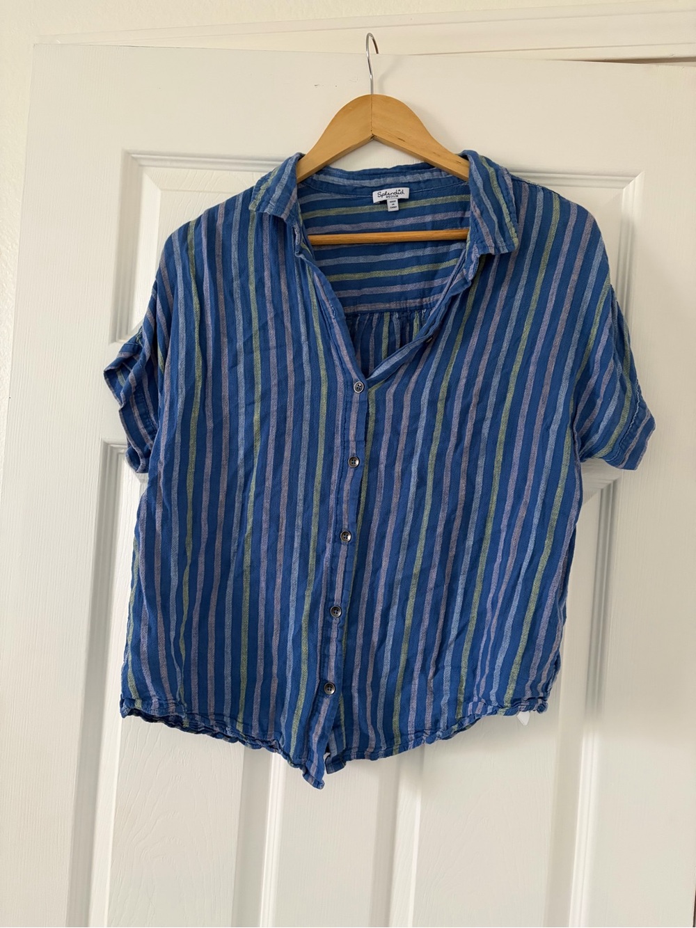 Splendid Blue & Green Vertical Stripe Button-Down Shirt